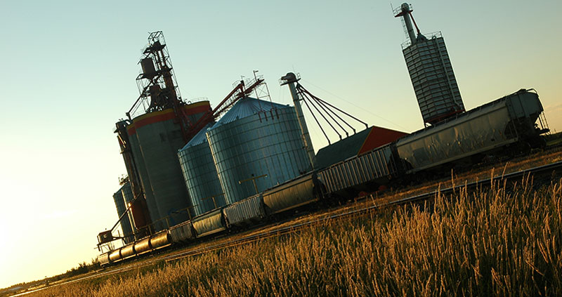 Wheat field with grain elevators and rail cars in background